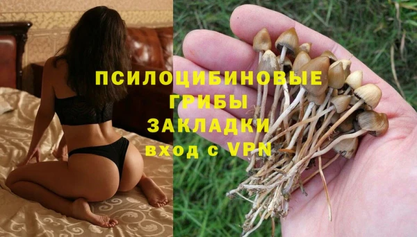 СК Алзамай