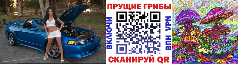 Галлюциногенные грибы ЛСД Николаевск-на-Амуре